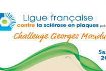 panneau challenge